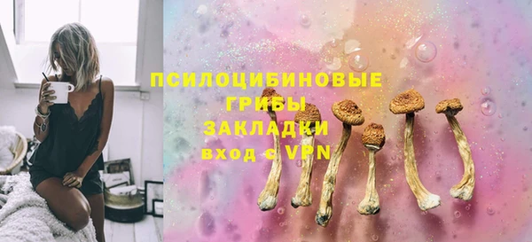 PSILOCYBIN Гусиноозёрск