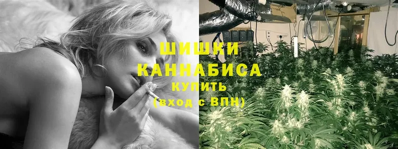 продажа наркотиков  Крым  Каннабис конопля 